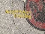 Aberrant Forms: A Jurassic Short