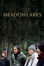 Meadowlarks