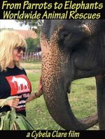 From Parrots to Elephants: Worldwide Animal Rescues