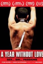 A Year Without Love