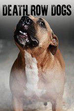 Death Row Dogs