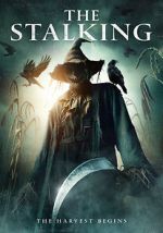 The Stalking
