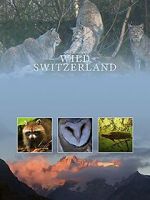 Wilde Schweiz