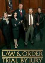 Law &amp; Order: Trial by Jury