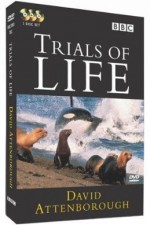 The Trials of Life