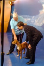 Pet Rescue